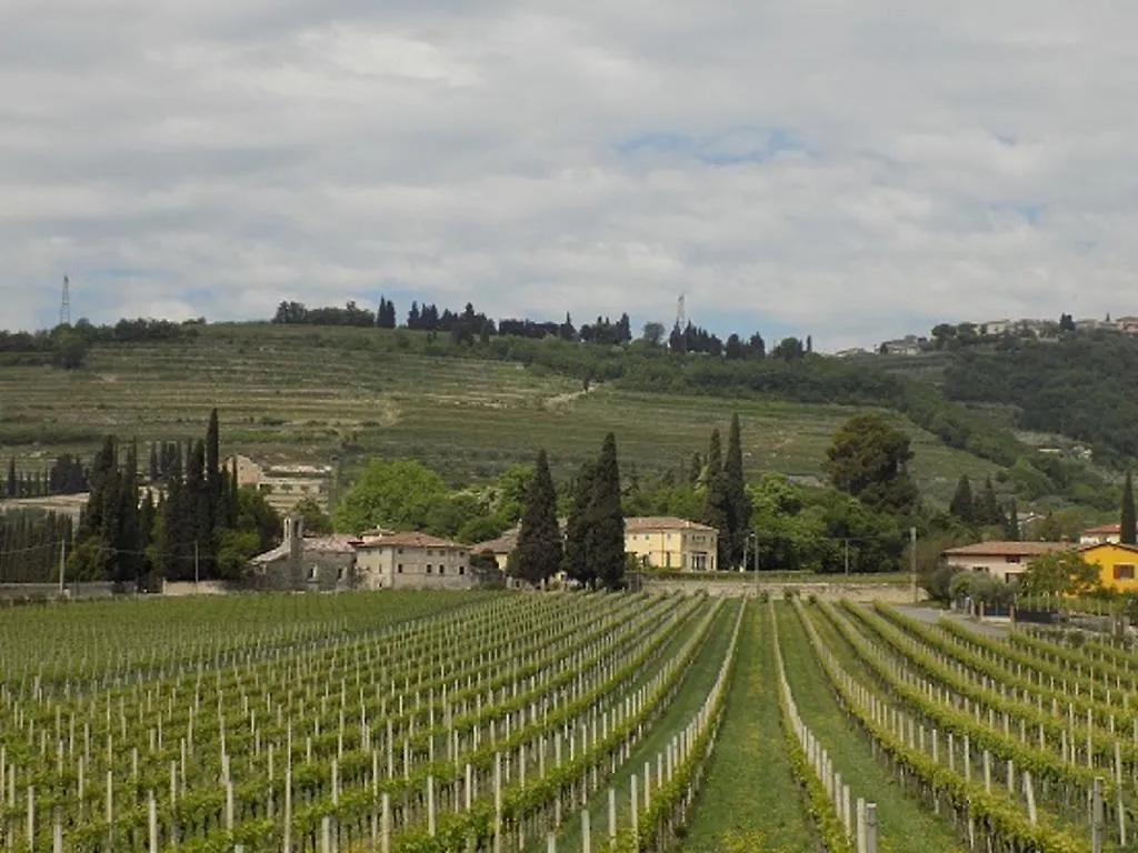 Due Archi Bed & Breakfast Sant'Ambrogio di Valpolicella 0*,  Italy